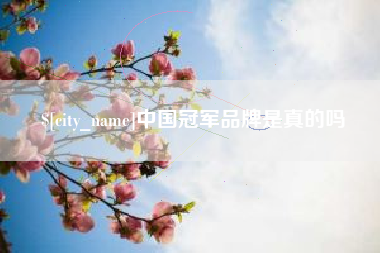 辽阳中国冠军品牌是真的吗