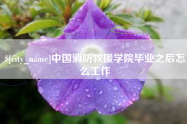 辽阳中国消防救援学院毕业之后怎么工作