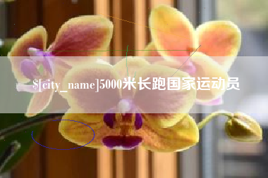 辽阳5000米长跑国家运动员