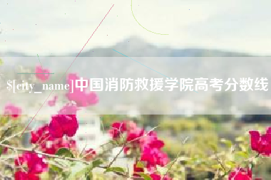 辽阳中国消防救援学院高考分数线