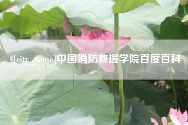 辽阳中国消防救援学院百度百科