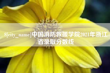 辽阳中国消防救援学院2021年浙江省录取分数线