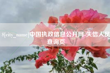 辽阳中国执政信息公开网-失信人员查询页