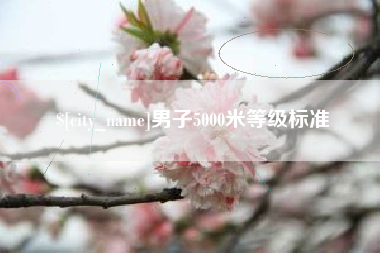 辽阳男子5000米等级标准
