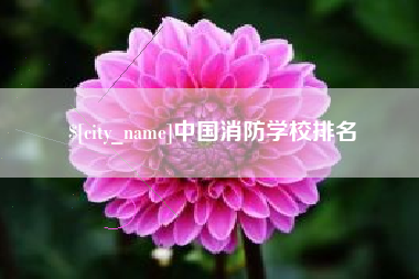 辽阳中国消防学校排名