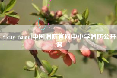 辽阳中国消防官网中小学消防公开课