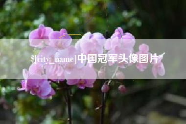 辽阳中国冠军头像图片
