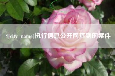 辽阳执行信息公开网查到的案件