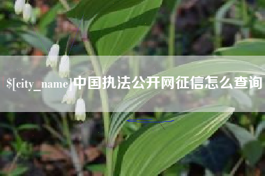 辽阳中国执法公开网征信怎么查询