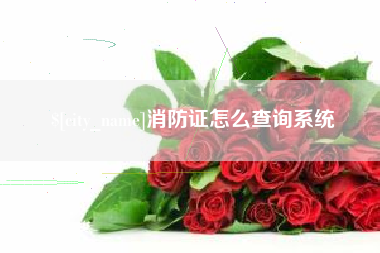 辽阳消防证怎么查询系统