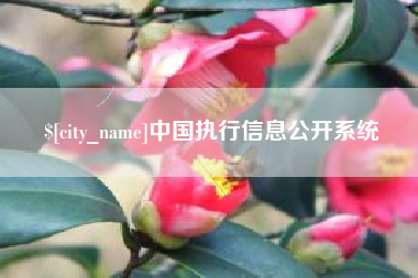 辽阳中国执行信息公开系统