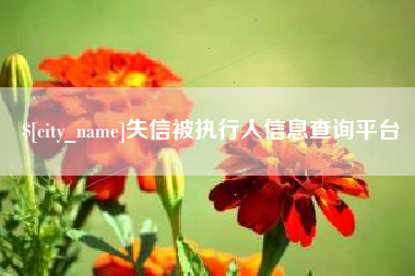 辽阳失信被执行人信息查询平台