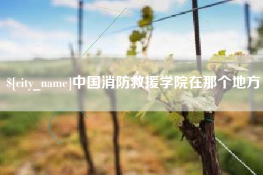 辽阳中国消防救援学院在那个地方