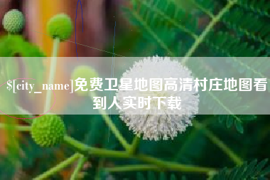 辽阳免费卫星地图高清村庄地图看到人实时下载