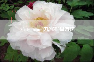 辽阳九宫排盘方法