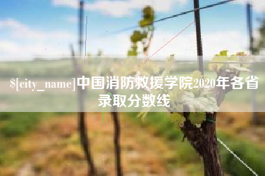 辽阳中国消防救援学院2020年各省录取分数线