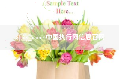 辽阳中国执行网信息官网