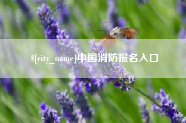 辽阳中国消防报名入口