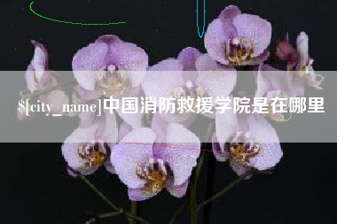 辽阳中国消防救援学院是在哪里