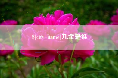 辽阳九金是谁