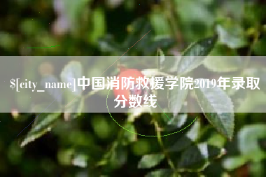 辽阳中国消防救援学院2019年录取分数线
