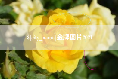 辽阳金牌图片2021