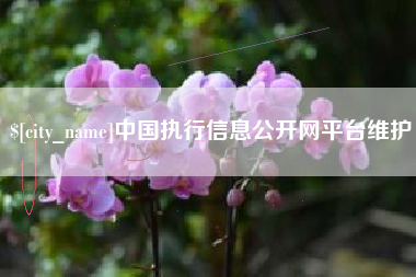 辽阳中国执行信息公开网平台维护