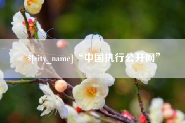 辽阳“中国执行公开网”