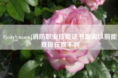 辽阳消防职业技能证书查询以前能查现在查不到