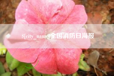 辽阳全国消防日海报