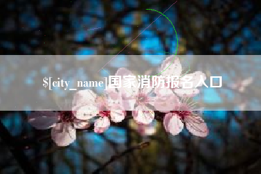辽阳国家消防报名入口