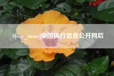 辽阳中国执行信息公开网后