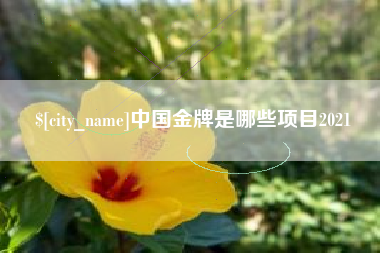 辽阳中国金牌是哪些项目2021