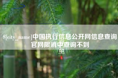 辽阳中国执行信息公开网信息查询官网限消中查询不到