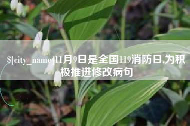 辽阳11月9日是全国119消防日,为积极推进修改病句