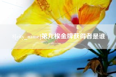 辽阳第九枚金牌获得者是谁