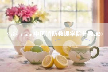 辽阳中国消防救援学院分数2020