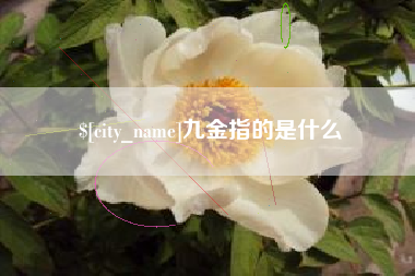 辽阳九金指的是什么
