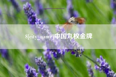 辽阳中国九枚金牌