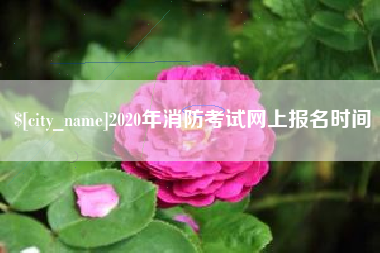 辽阳2020年消防考试网上报名时间