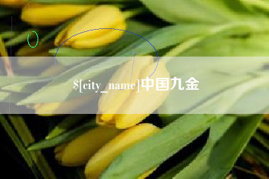 辽阳中国九金