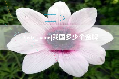 辽阳我国多少个金牌