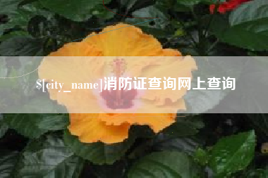 辽阳消防证查询网上查询