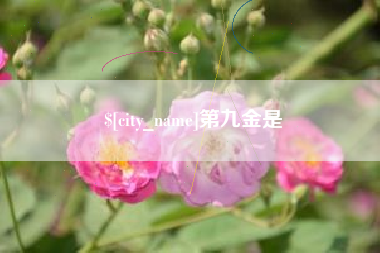 辽阳第九金是
