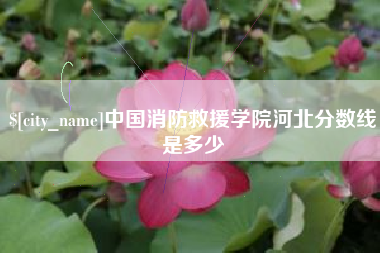 辽阳中国消防救援学院河北分数线是多少
