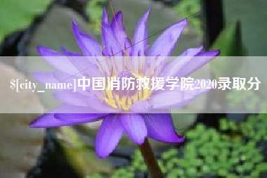 辽阳中国消防救援学院2020录取分