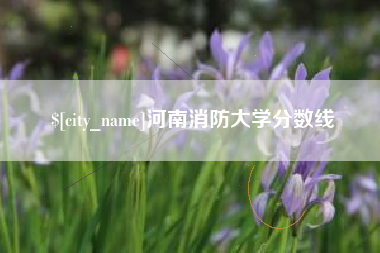 辽阳河南消防大学分数线