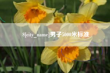 辽阳男子5000米标准