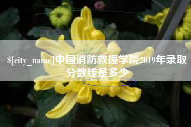 辽阳中国消防救援学院2019年录取分数线是多少