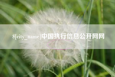 辽阳中国执行信息公开网网